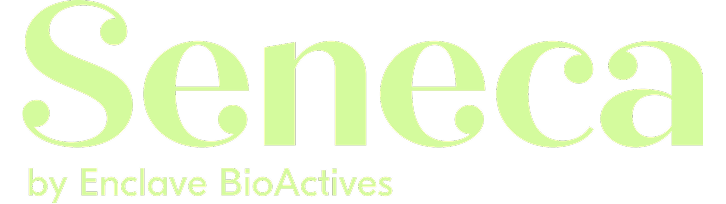 enclave logo